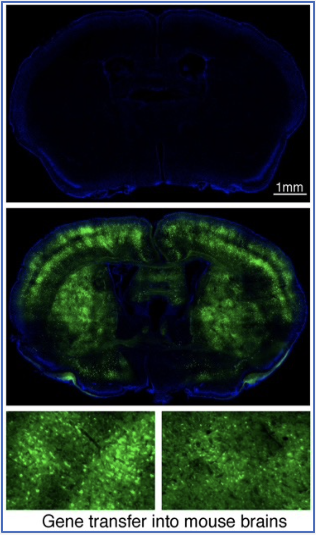 Hochrainer 2 web page image