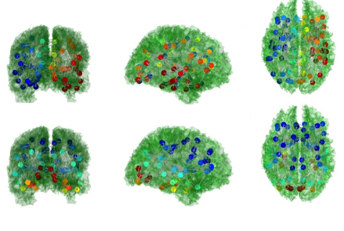 brain illustrations