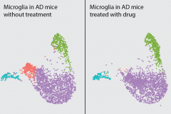 multicolor dots representing different microglial cell states